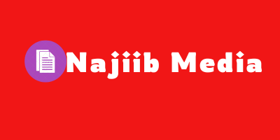 Najiibmedia